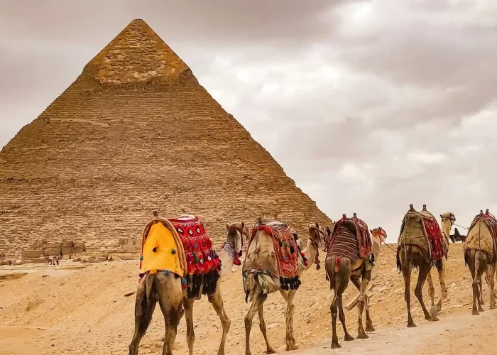 egypt festive packages