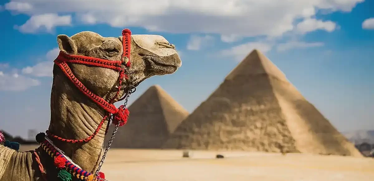 Best Time to Visit Egypt