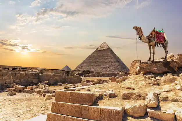 Best Egypt tours