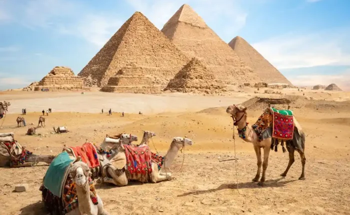 Private luxury vehicle providing secure Egypt transportation.