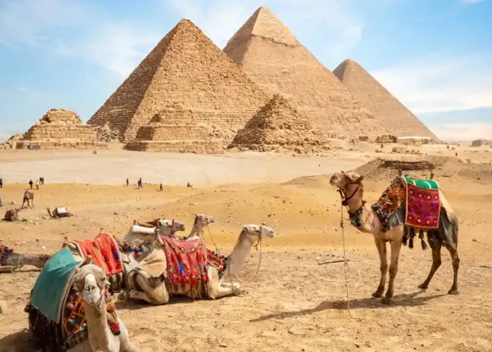 Private luxury vehicle providing secure Egypt transportation.