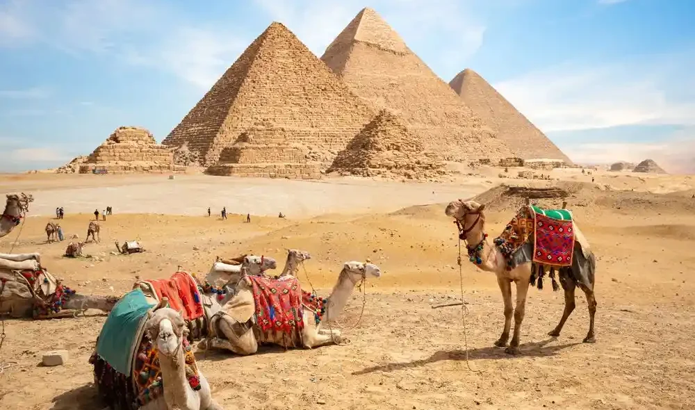 Private luxury vehicle providing secure Egypt transportation.